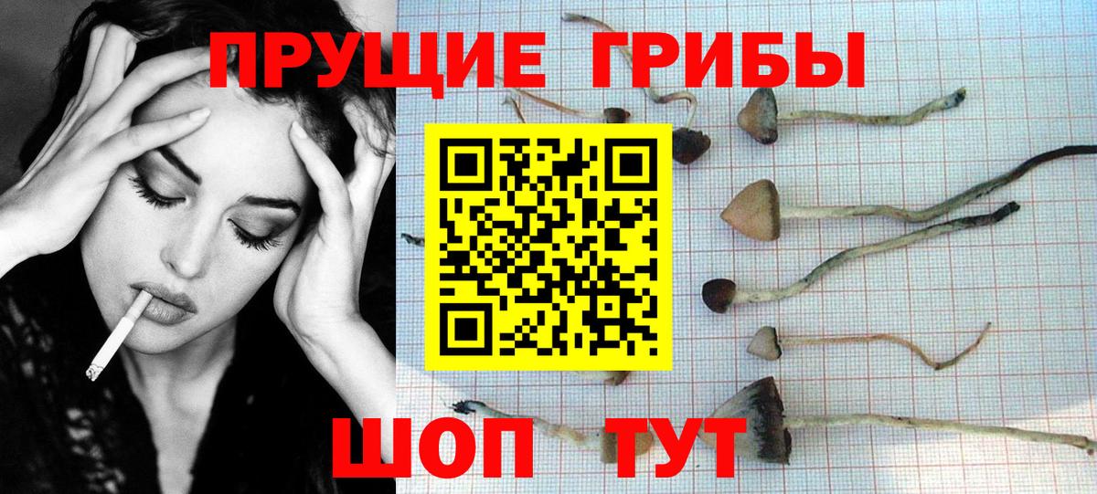 Анапа  купить наркотик  Вход с VPN  Галлюциногенные грибы ЛСД 
