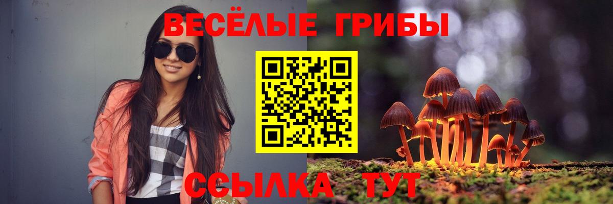 Псилоцибиновые грибы Psilocybe Анапа